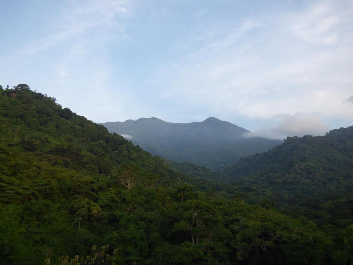 Hostal Alto De La Montana 米卡 外观 照片